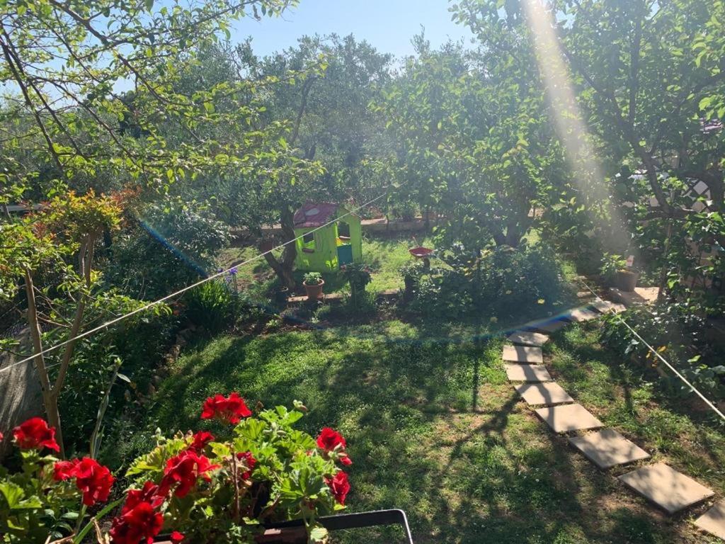 Apartman Dalija Vinkuran Dış mekan fotoğraf