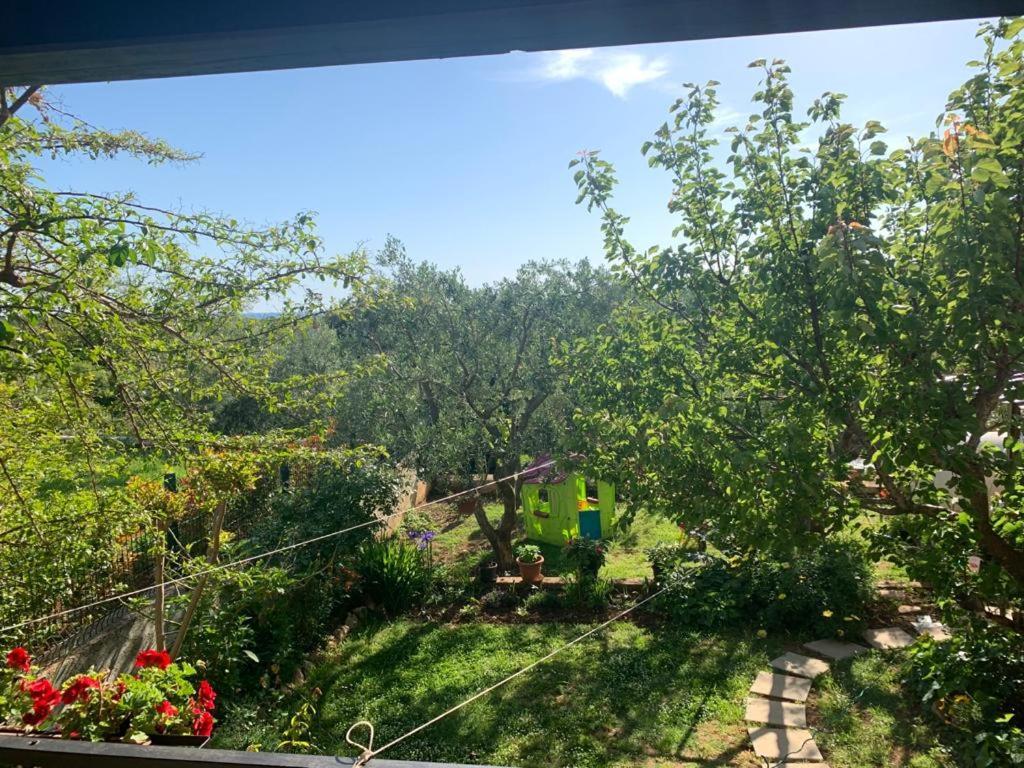 Apartman Dalija Vinkuran Dış mekan fotoğraf